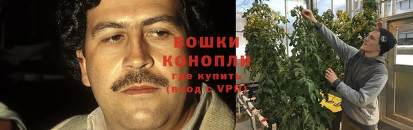 бошки Гусев