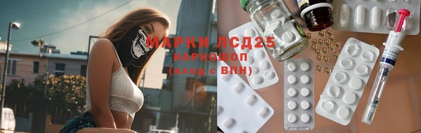 тгк Гусь-Хрустальный