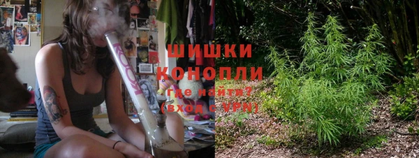 бошки Гусев
