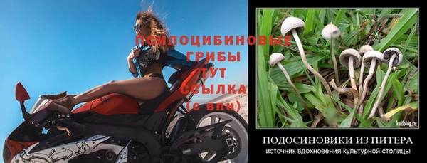 гашиш Гусиноозёрск