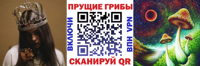 Галлюциногенные грибы MAGIC MUSHROOMS Канск